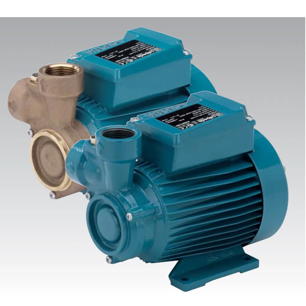 Вихревые насосы (CT, CTM, T, TP) —  CTM 61 220V